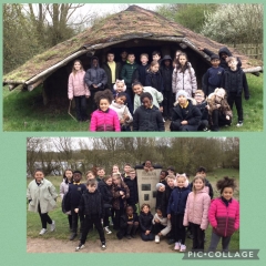 cf69cbaf9ec51efIMG1014