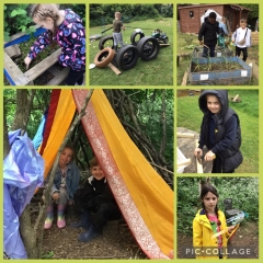 cf6a1cbd1b0985dIMG8812